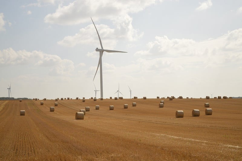 Sustainability Movement